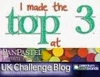 Panpastel Challenge Top 3