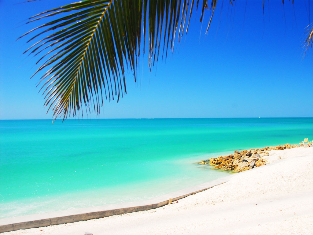 The Secret Of Best Place To Stay In Siesta Key Beach Fl Location The Secret Of Best Place To Stay In Siesta Key Beach Fl Location