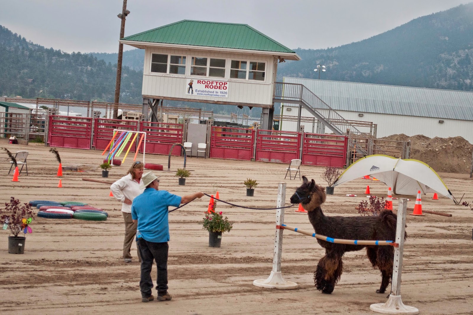 The Adventures of Asher & Journey Estes Park Wool Festival, yes, you