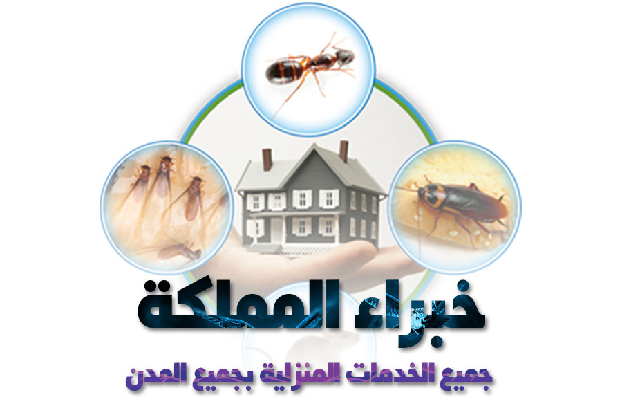 أفضل خدمات مكافحة الحشرات 2019: لتطهير منزلك بمدينة بجدة شركة المعمار الذهبي
