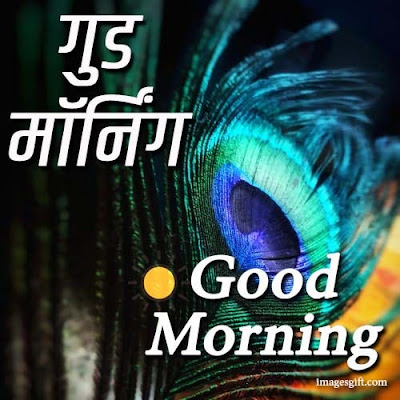 hindi good morning message