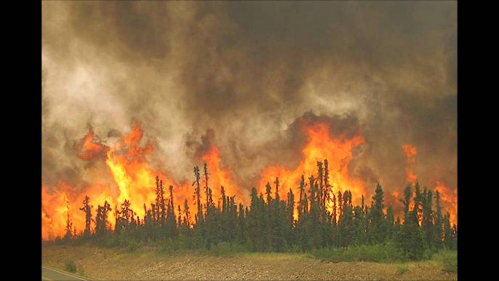 пожароопасные зоны россии. лес в огне. зона лесных пожаров. лес в огне. пожар в лесу.