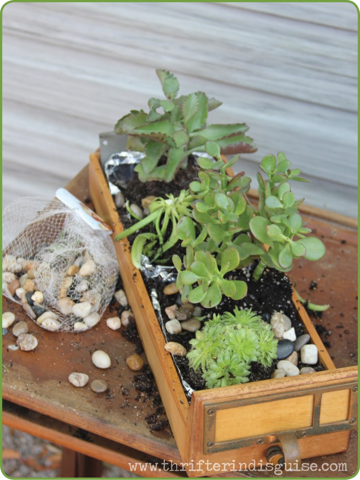 A Thrifter in Disguise Fab Ideas for Antique Card Catalog Drawers