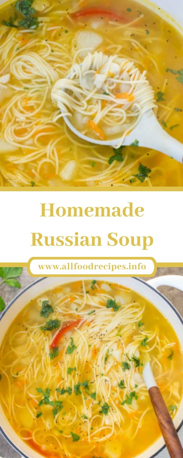 Homemade Russian Soup Homemade Russian Soup