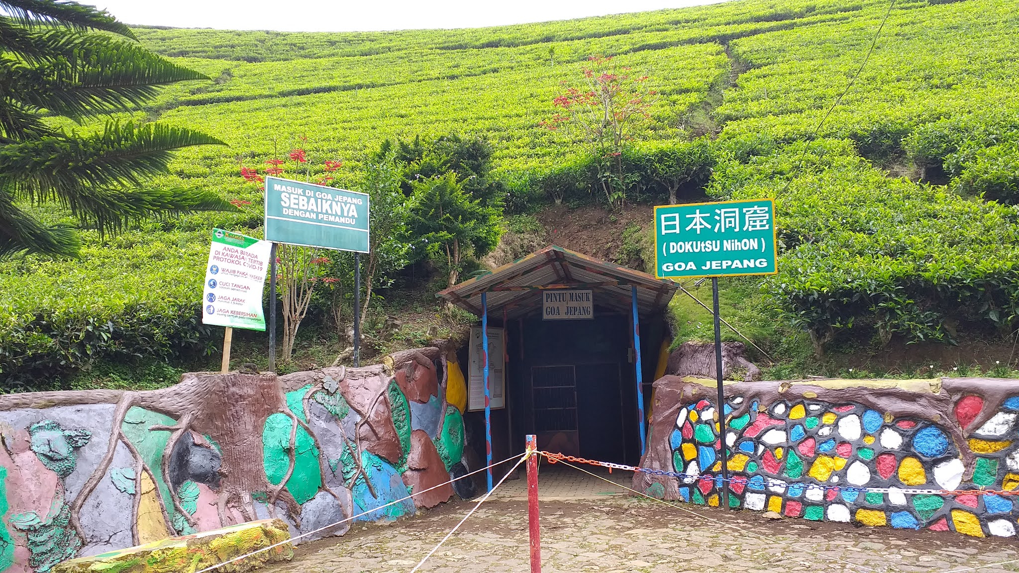Panorama Kebun Teh Kaligua, Brebes - Wisata Dengan Suasana Alam Yang