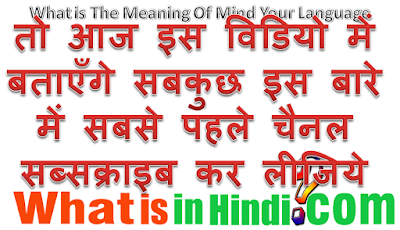 What is the meaning of Mind your language in Hindi