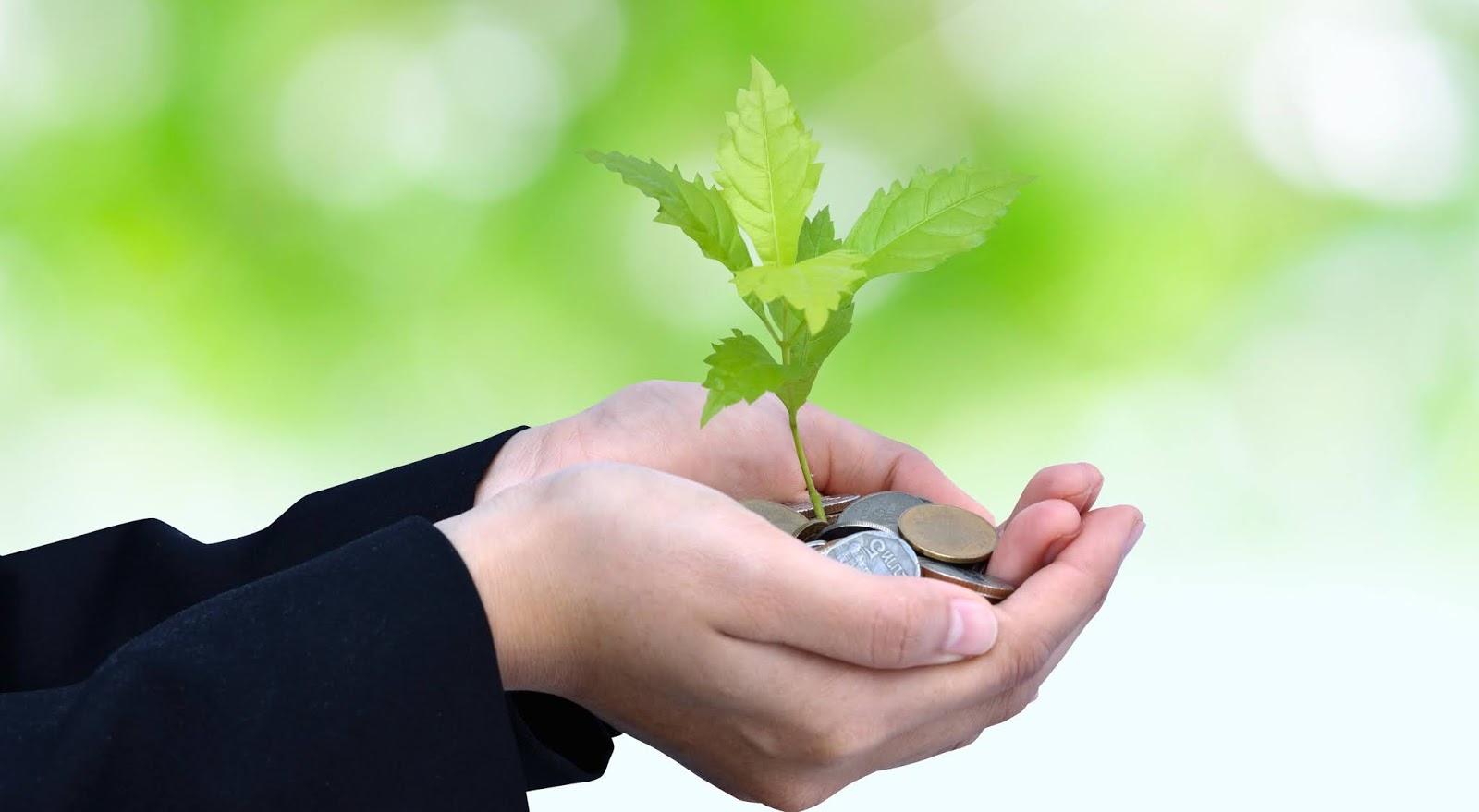 SUGGESTION and OFFERING