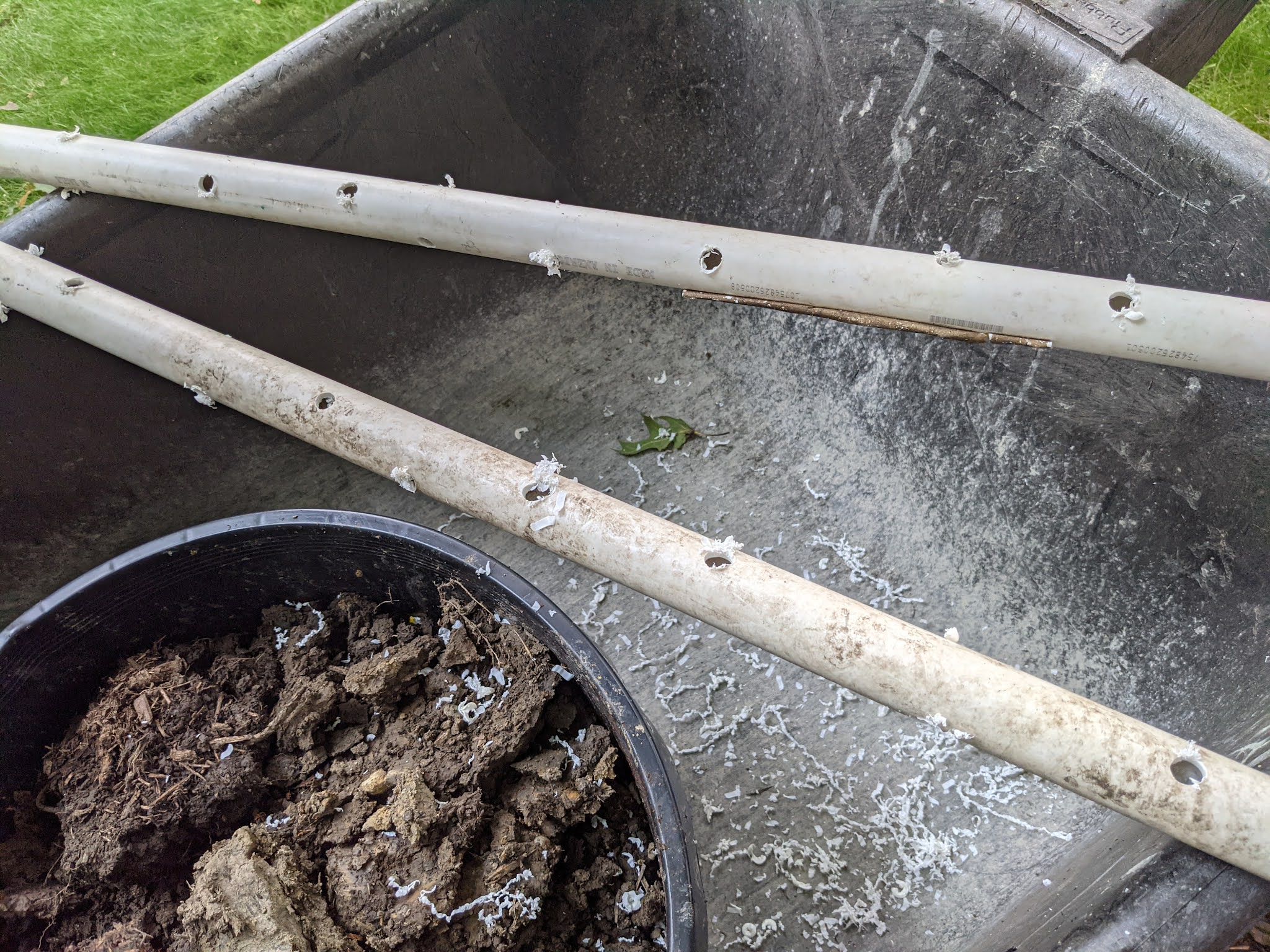 Compost Bin Layering Using Alfalfa Cubes Late Summer 2021