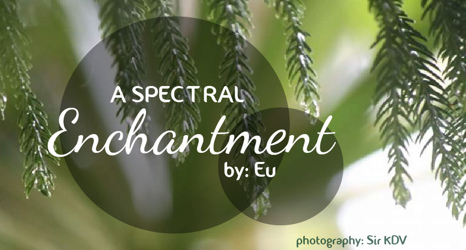 A Spectral Enchantment
