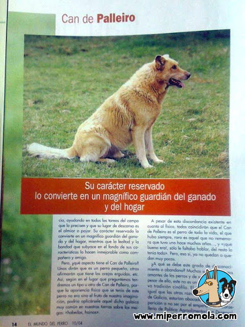 Can de Palleiro en la revista El Mundo del Perro