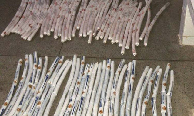 Homem é preso com 70 dinamites em ônibus comercial no oeste da Bahia