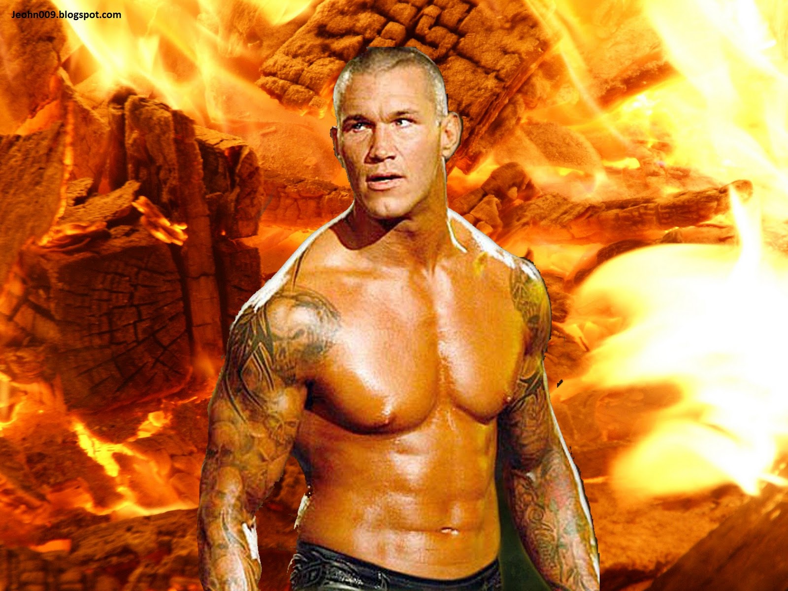 SPORTS : Crazy Fighters of WWE Randy orton & triple H -HD wallpapers