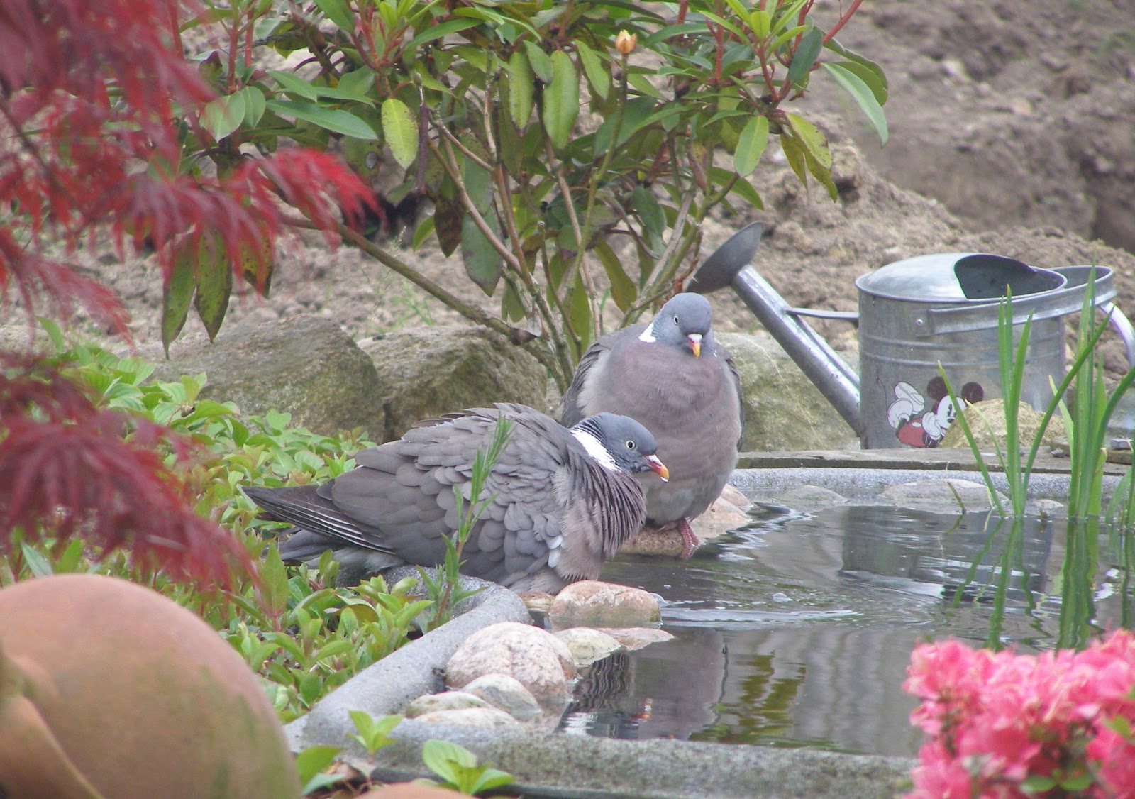 The Great Day On The Beach - Kinderbuch Badebuch