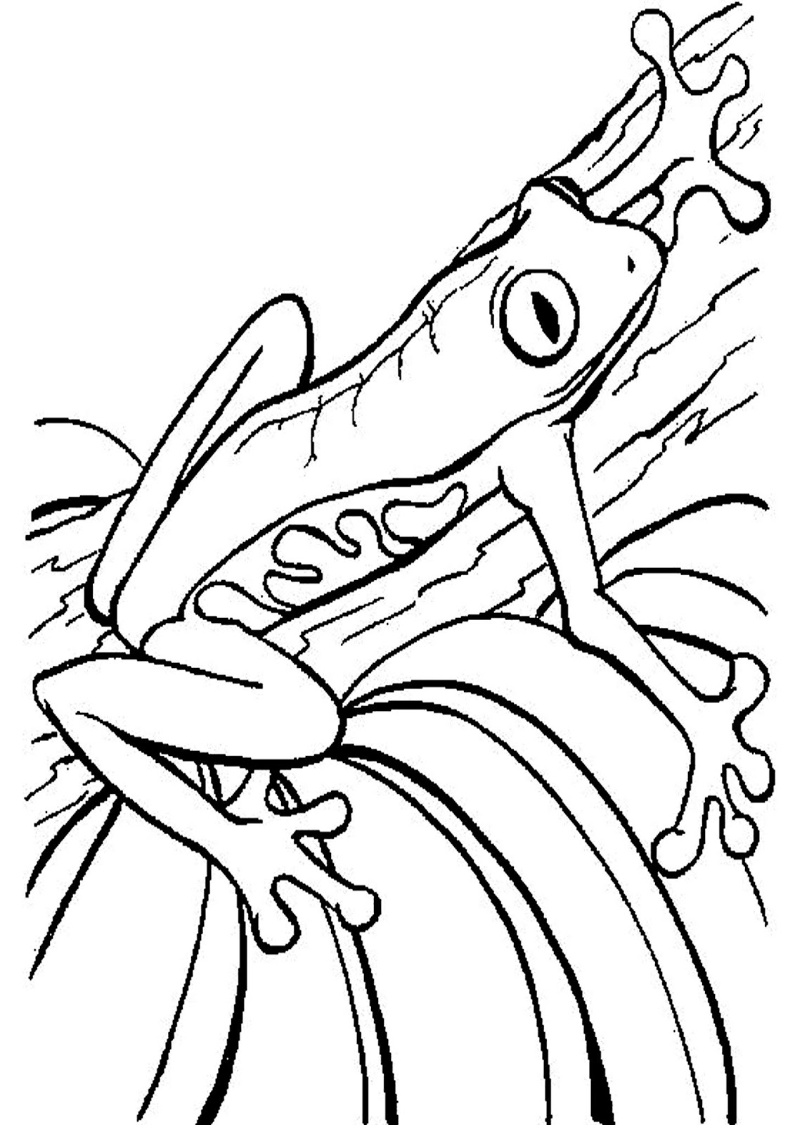 MIXED MEDIA SCRATCH ART Frogs