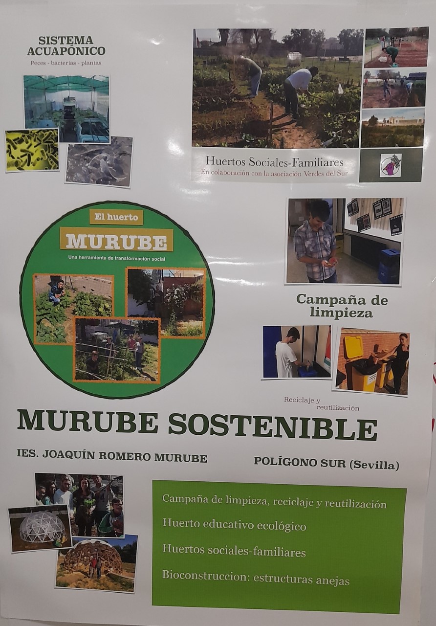 "Murube Sostenible" en la Feria de la Ciencia 2021 - Proyecto "Del