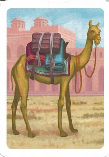 camel from Jaipur card game