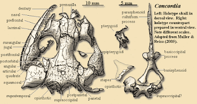 reptiles del Carbonifero