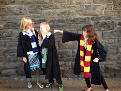 potter harry costumes halloween hermione