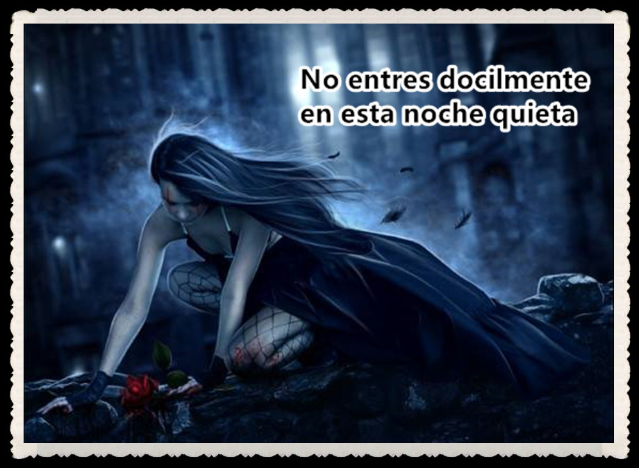 SOBERANO AMOR POR FANNY JEM WONG M.: PENSAMIENTOS , VERSOS , FRASES ...