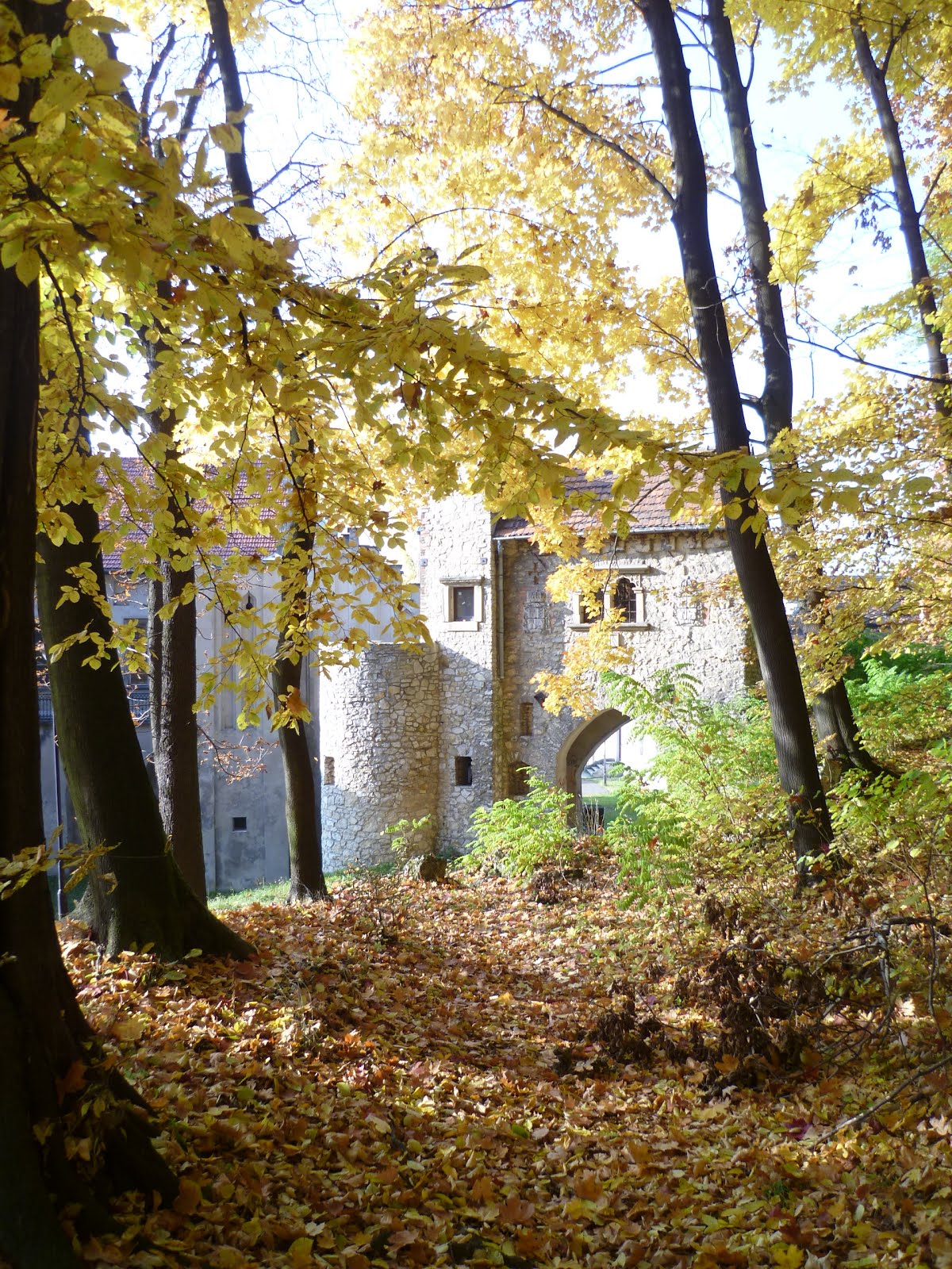 Park in Autumn