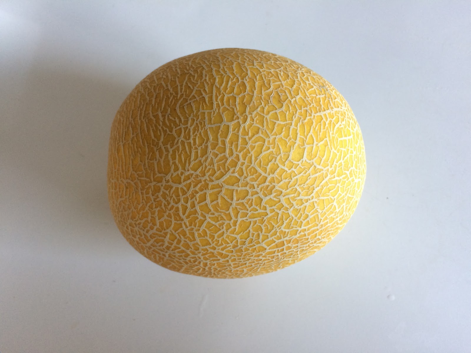 Family FECS Baby Food of the Day Cantaloupe (7M9D)