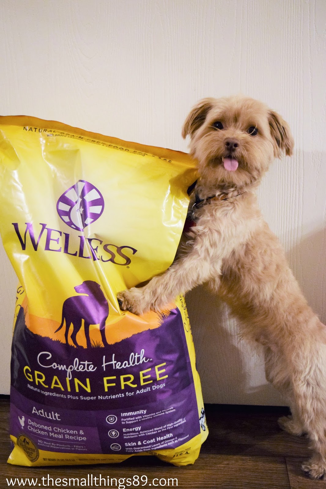 PetSmart Carries A Huge Assortment of Wellness Grain Free Options! 