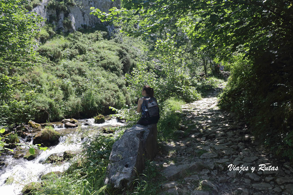 Foces de El Pino, Asturias