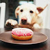 Μπορώ να δώσω στο σκύλο μου donuts;