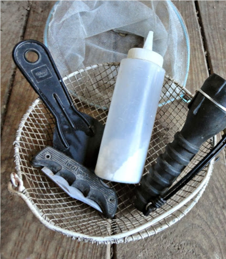 5 Essential Tools for Backyard Chicken Keepers Fresh Eggs Daily® with