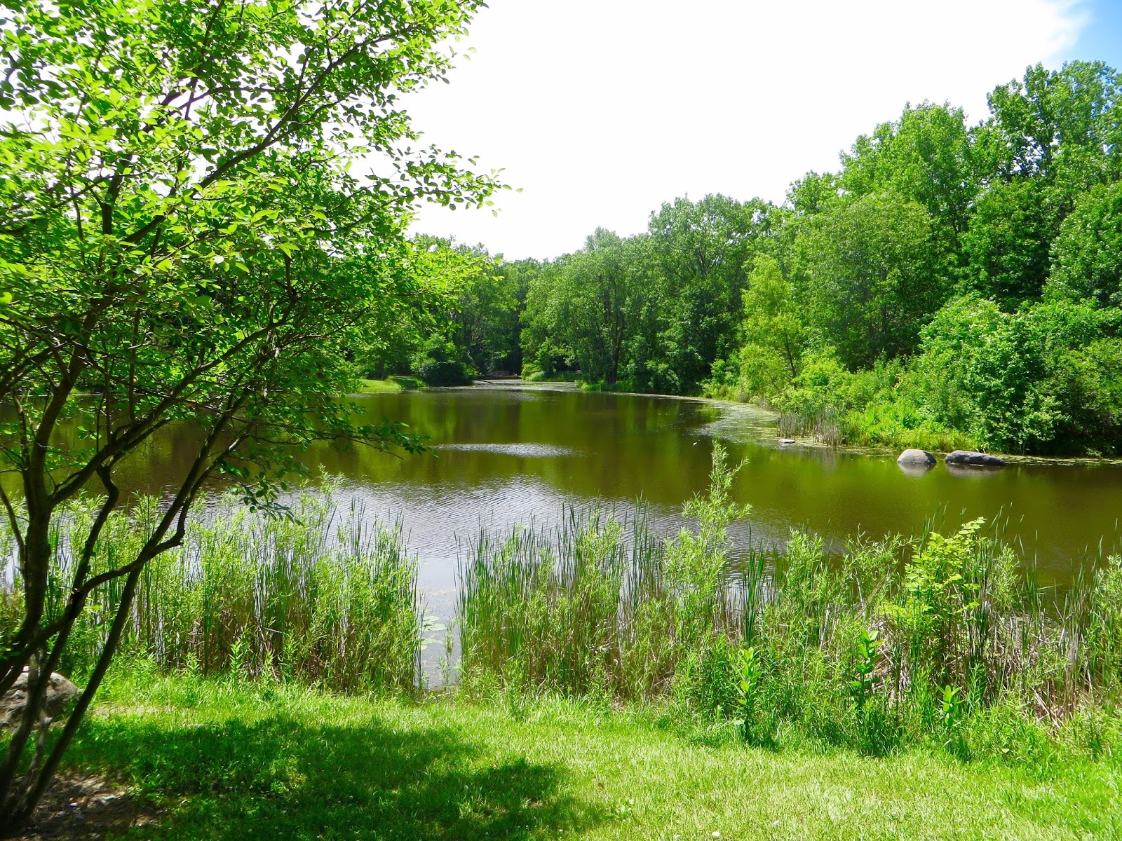 Chuck's Adventures Biking the Des Plaines River Trail (Lake County