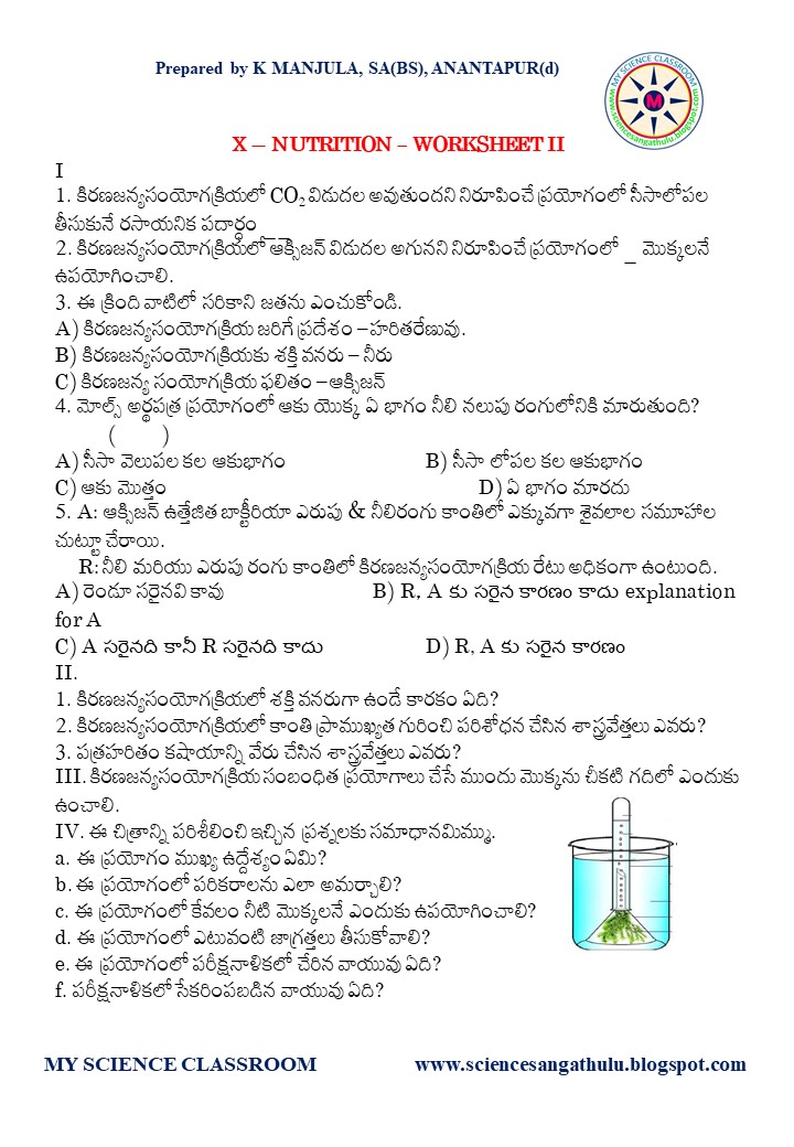 MY SCIENCE CLASSROOM: WORKSHEETS 2