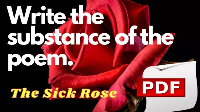  Write the substance of the poem The Sick Rose