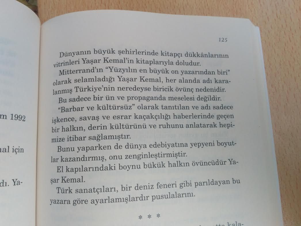 Gozuyle Kartal Avlayan Yazar Yasar Kemal Zulfu Livaneli