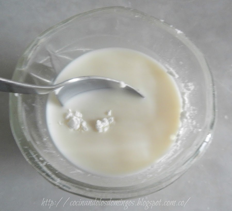 Receta de dulce de leche repostero