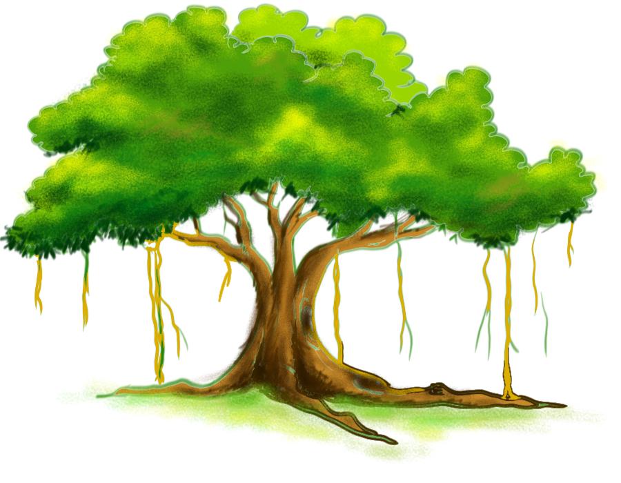 pic Banyan Tree Drawing Easy banyan tree drawing easy with colour indian .....