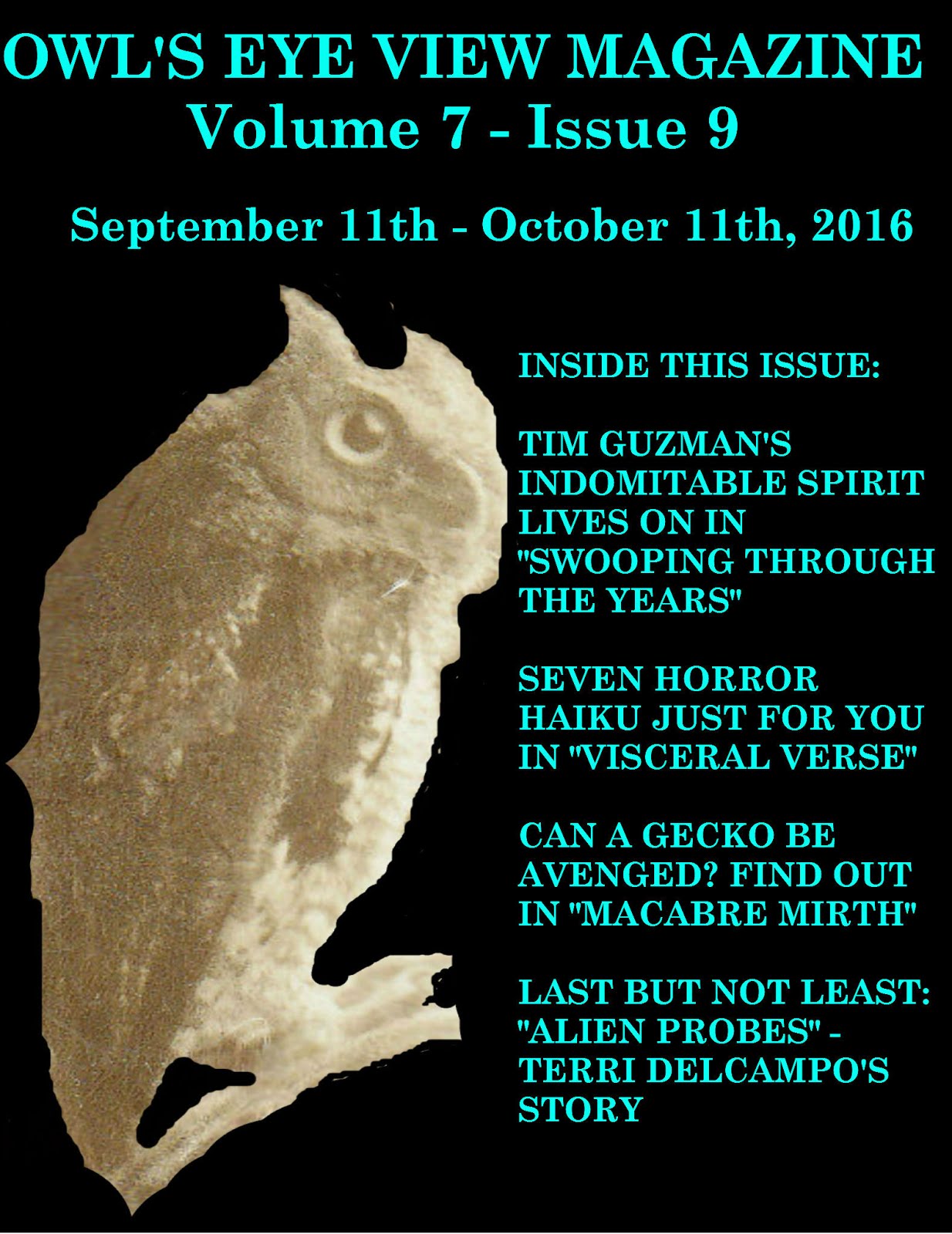 Owl's Eye View Magazine ISSUE 9