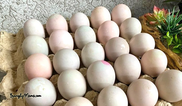 eggs, duck eggs, salted egg, painted pink egg, salted eggs, homemade salted eggs, salted egg salad, homemade salted egg recipe, how to make salted eggs, homecooking, from my kitchen, recipes, brine solution, how to make brine solution