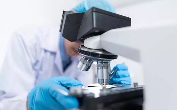 contoh tata tertib laboratorium contoh tata tertib laboratorium