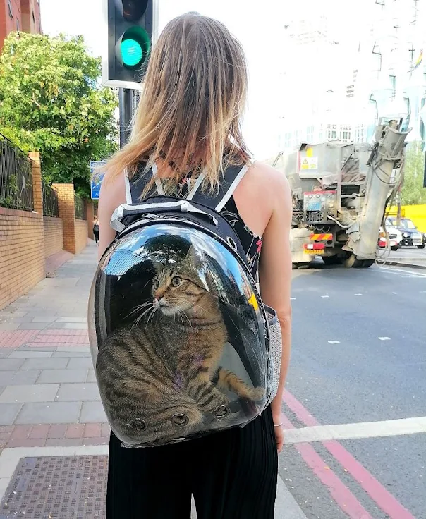 Backpack-style transparent cat carrier with airholes