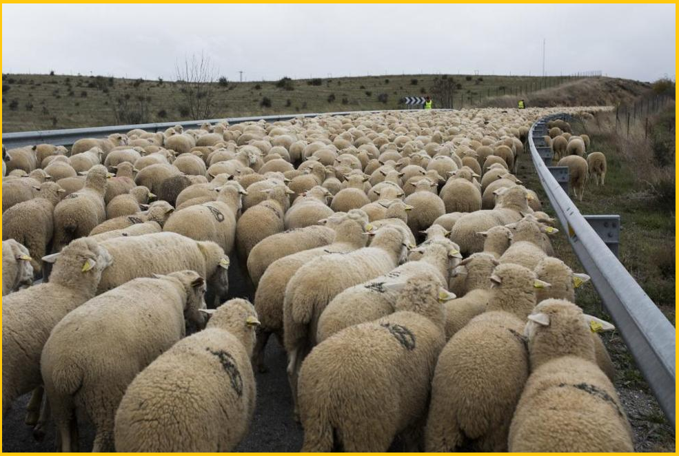 Blog de Geografía del profesor Juan Martín Martín ¿Sigue viva la