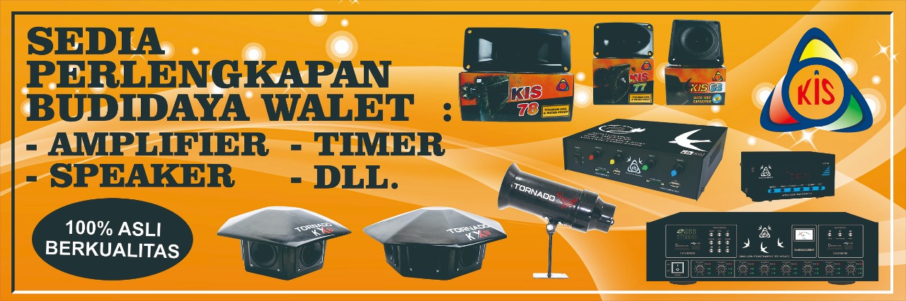 Portfolio Desain Banner