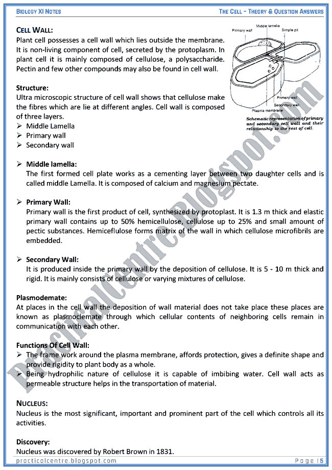 the-cell-theory-and-questions-answers-biology-11th