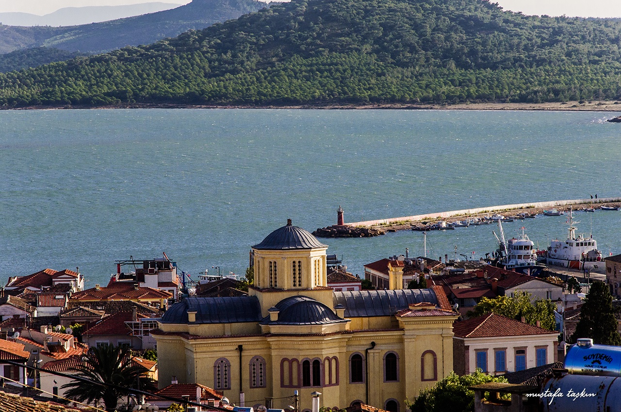 Остров кунда Остров кунда