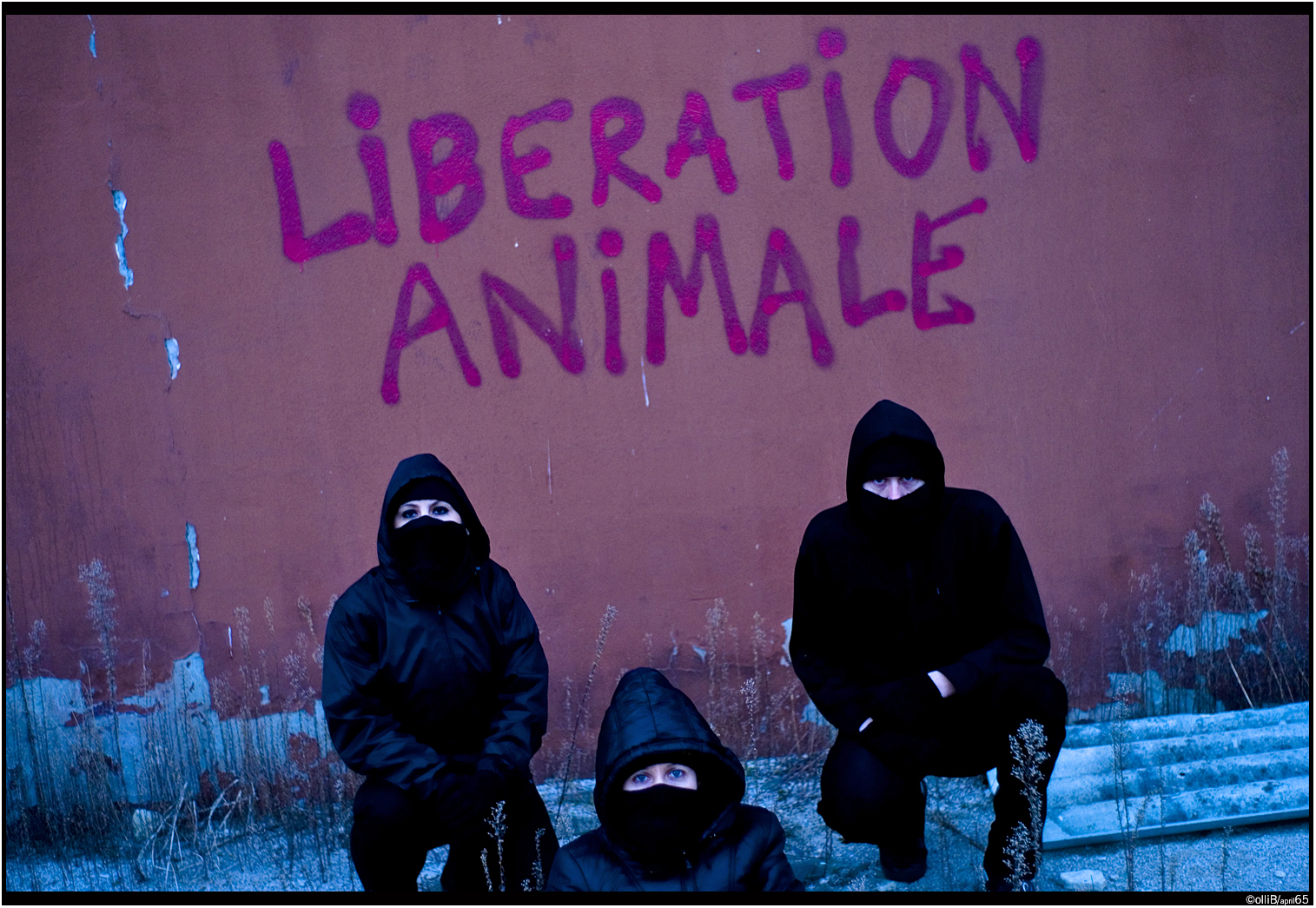 That is This Dieren Bevrijdings Front / Animal Liberation Front (2002)