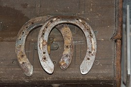 Encyclopedia of Trivia: Horseshoe