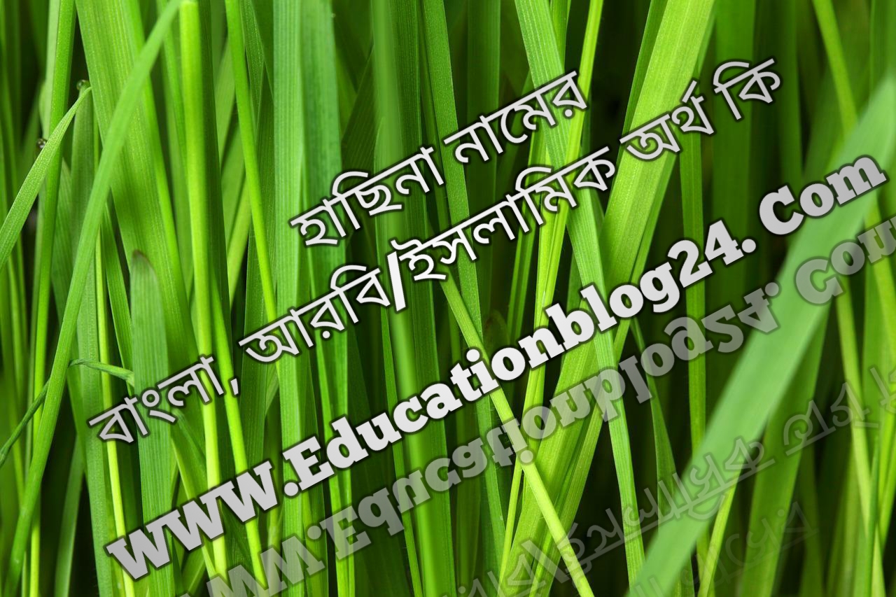 হাসিনা নামের বাংলা, আরবি/ইসলামিক অর্থ কি হাসিনা নামের অর্থ কি