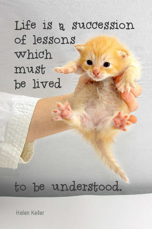 Affirm Your Life: Daily Quotation for January 31, 2014
