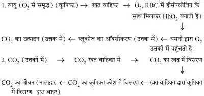 10 Class Science Notes in hindi chapter 6 Life processes