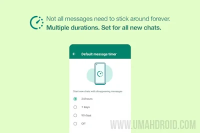 Fitur Pesan Menghilang WhatsApp