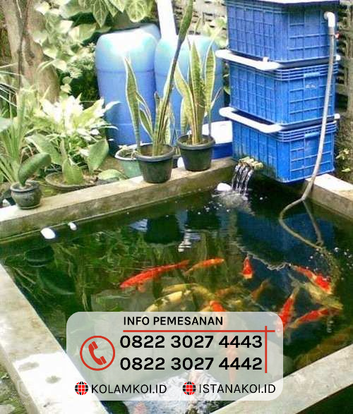 jasa pembuatan kolam koi Bukit Tinggi